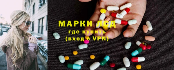 индика Алзамай