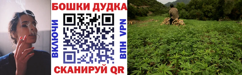 Конопля Amnesia Лихославль